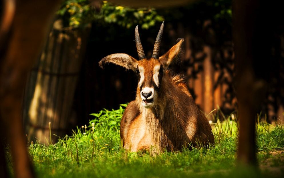 Zoo Liberec