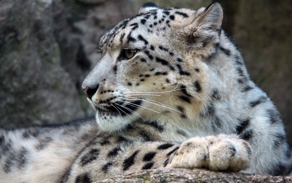 Zoo Liberec