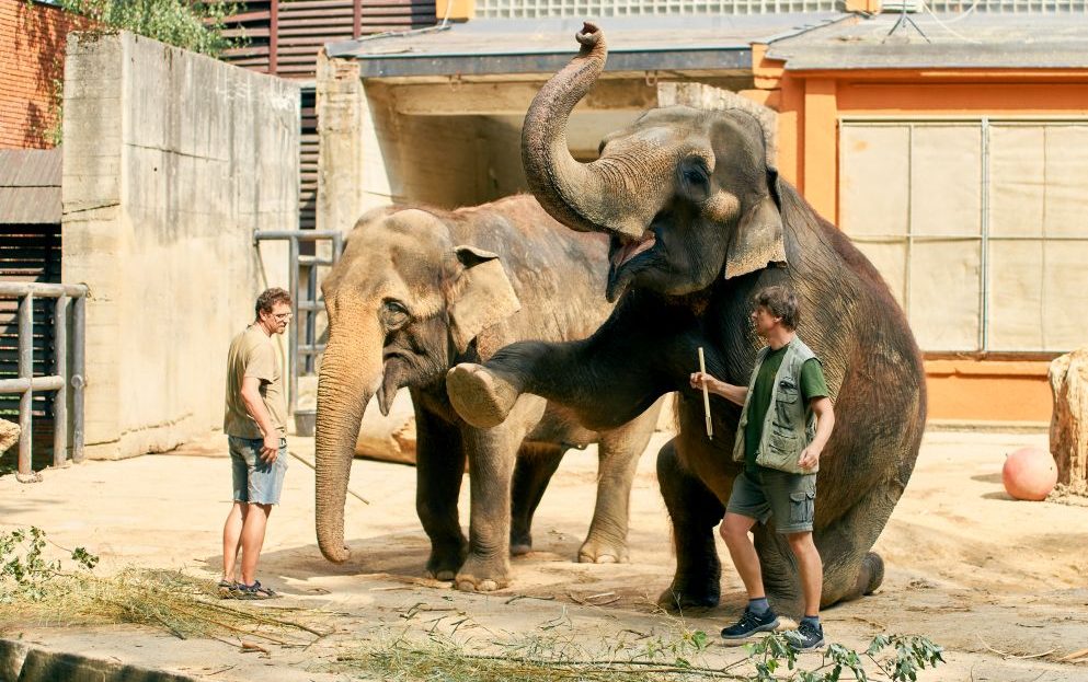 Zoo Liberec