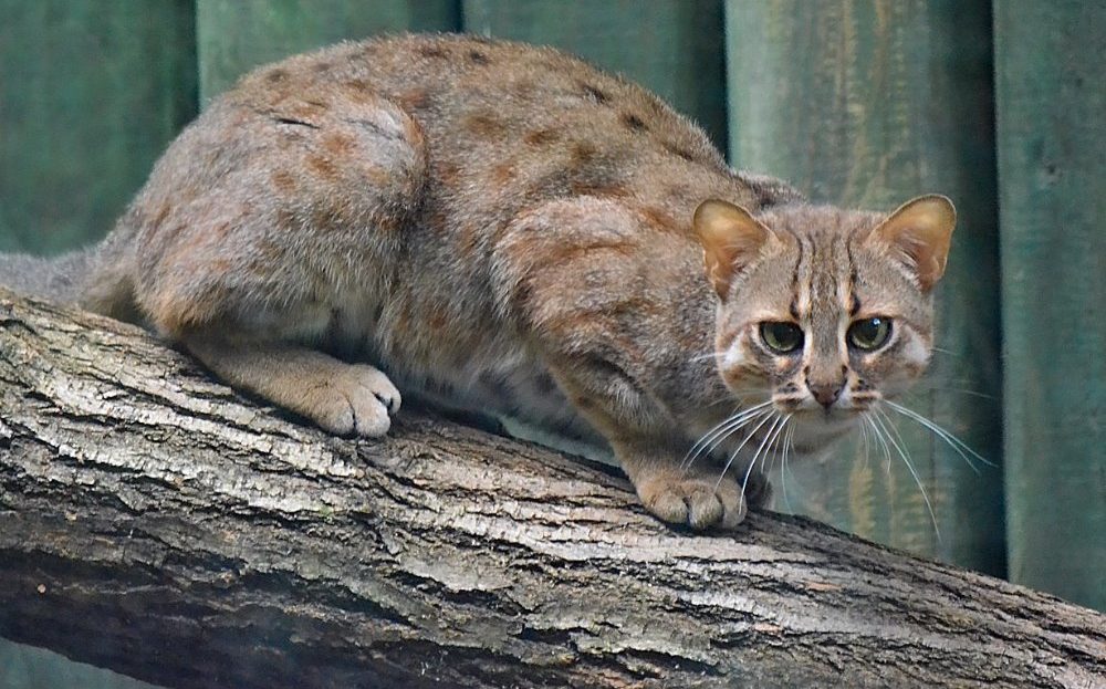 Zoo Liberec