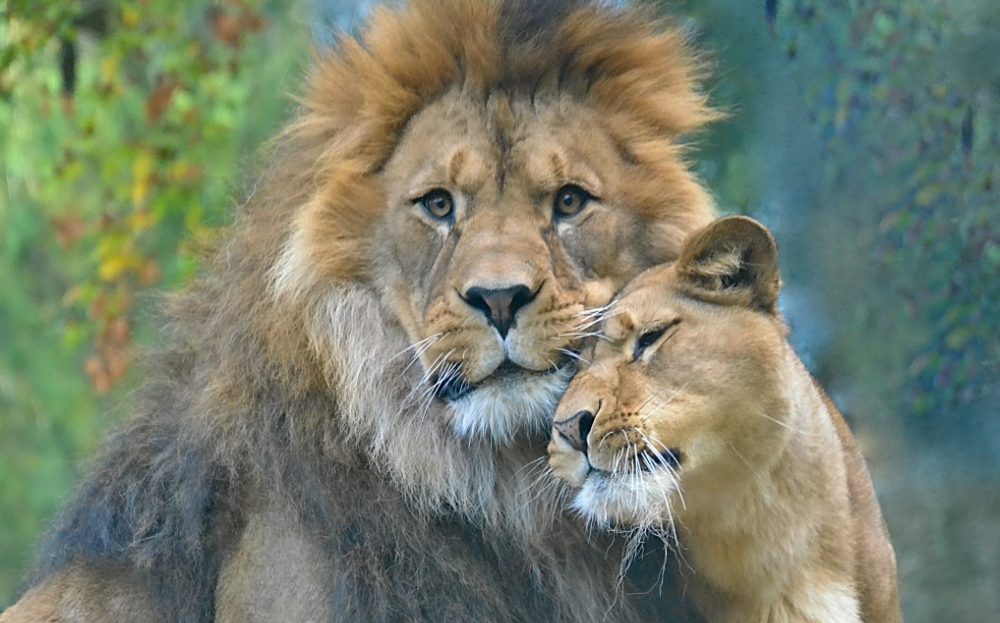 Zoo Liberec