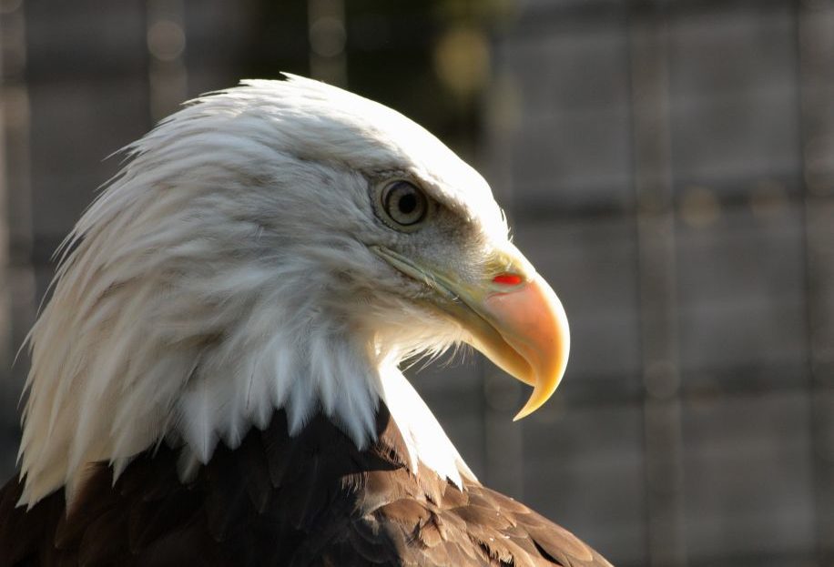 Zoo Liberec