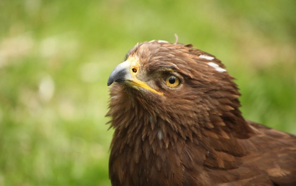 Zoo Liberec