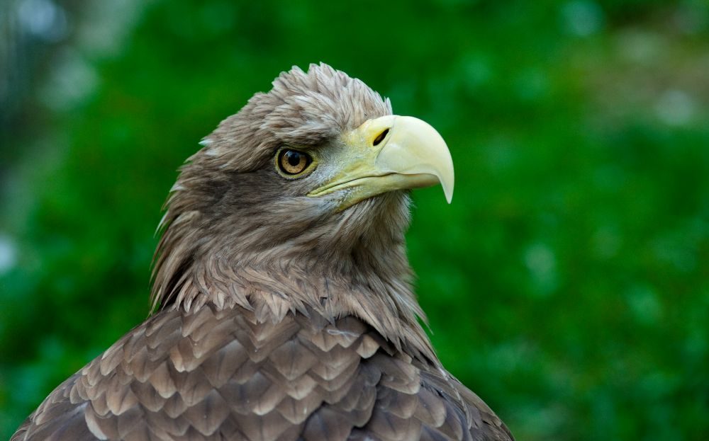 Zoo Liberec