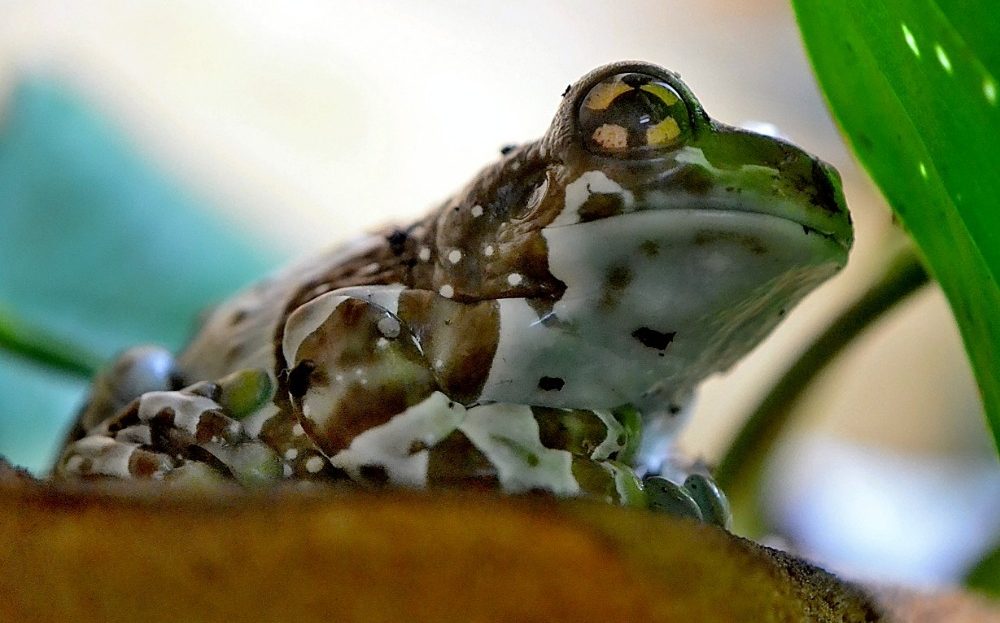 Zoo Liberec