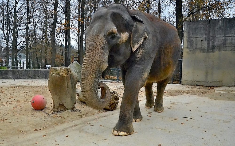 Zoo Liberec