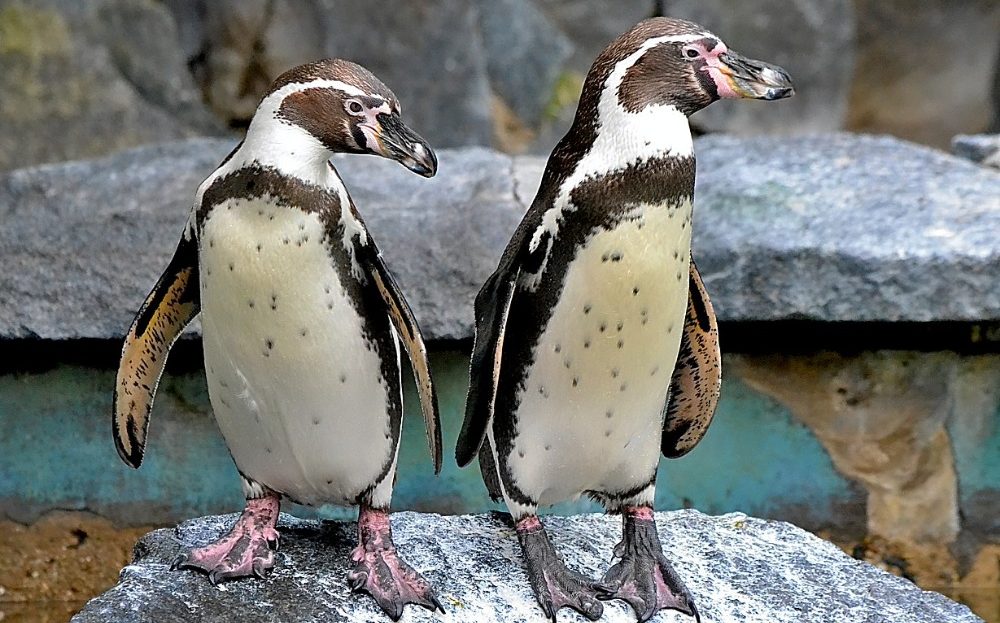 Zoo Liberec